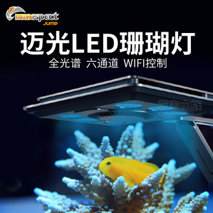 迈光启航海缸珊瑚灯LED全光谱海水灯蓝光版WIFI手机控制日出日落