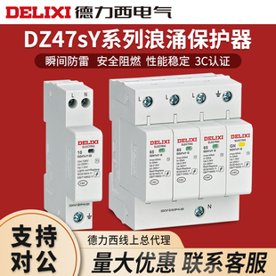 40KA 德力西浪涌保护器DZ47SY防雷电涌开关2p家用4p避雷器20KA