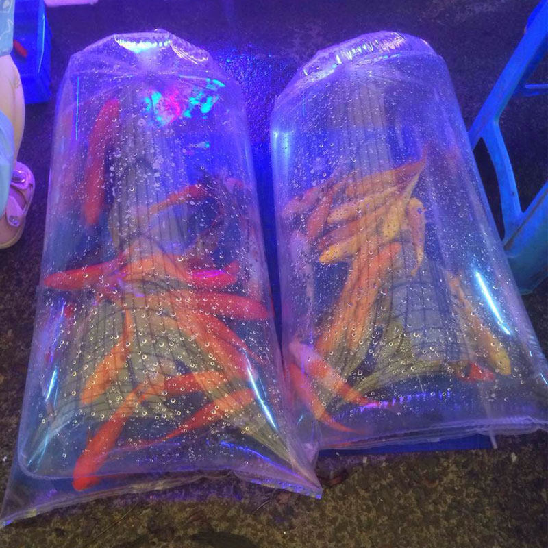 平口加厚锦鲤袋二角袋观赏鱼打包袋鱼虾活体运输呼吸袋氧气平底袋,标准件/零部件/工业耗材,输送带/传送带,淘宝优惠券,粉丝福利购,淘宝优惠卷