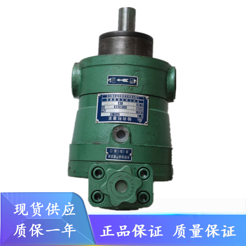 上海申福10/25/40/63/80/100/160/250/400PCY14-1B柱塞泵cy系列