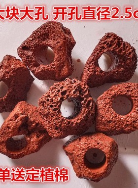 天然红色火山石水草定植环 水草底座 水草固定种植神器 无土栽培