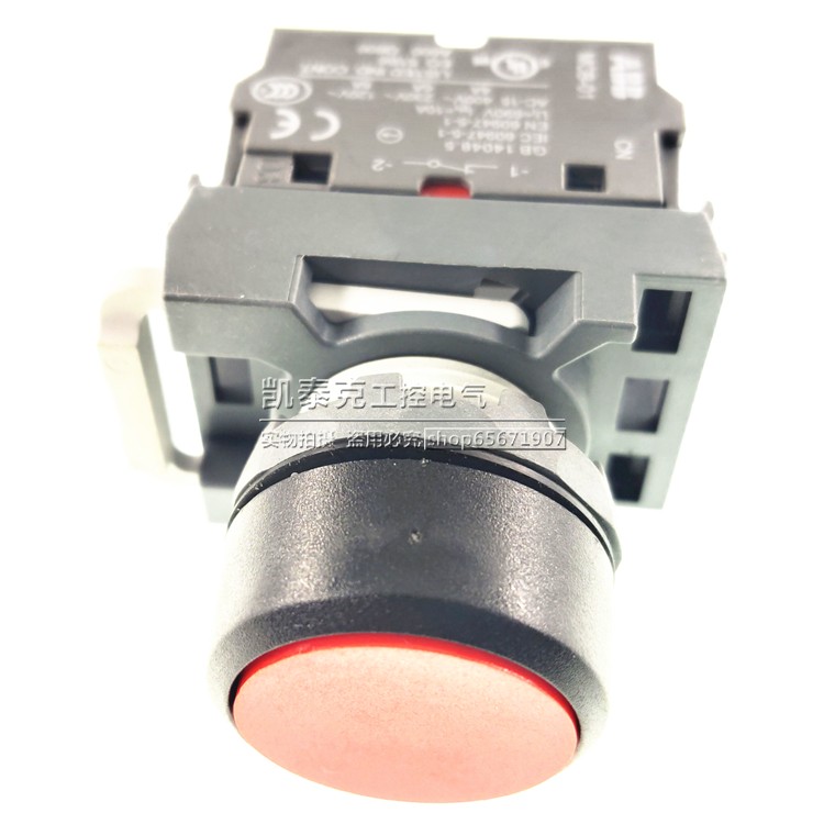 原装正品平头自锁型按钮