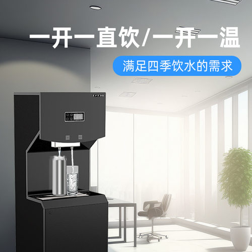 商用饮水机步进式直饮机温热茶吧RO反渗透即烧即热净水开水机定制