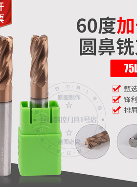 HGK60度钨钢加长圆鼻刀75L牛鼻刀4R0.2 6R0.2 4R0.5 6R0.5 8R0.5