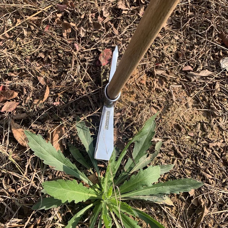 家用锄头不锈钢户外洋镐