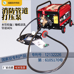 消防管道电动打压机水管试压泵水暖测压地暖清洗纯铜220V/380