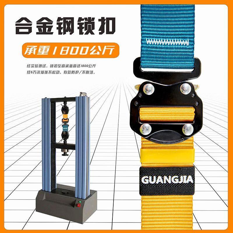 德国进口标五点式防坠落