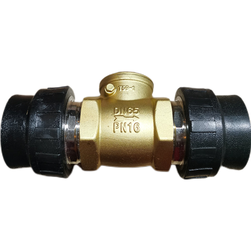 PE止回阀单向阀重型卧式63 75 90 110 4寸回流防倒灌