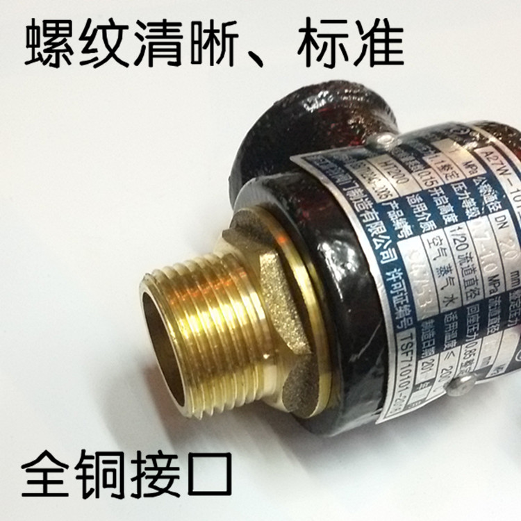 浙江富羽安全阀蒸汽锅炉