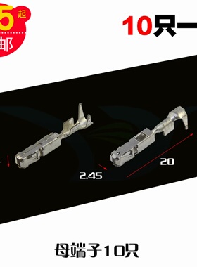 汽车接插件线束改装BCM连接电线接头J519车用控制器接线端子10只