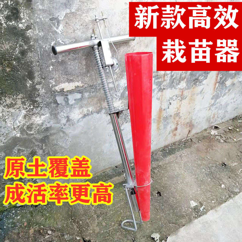 栽苗神器移种辣椒蔬菜植