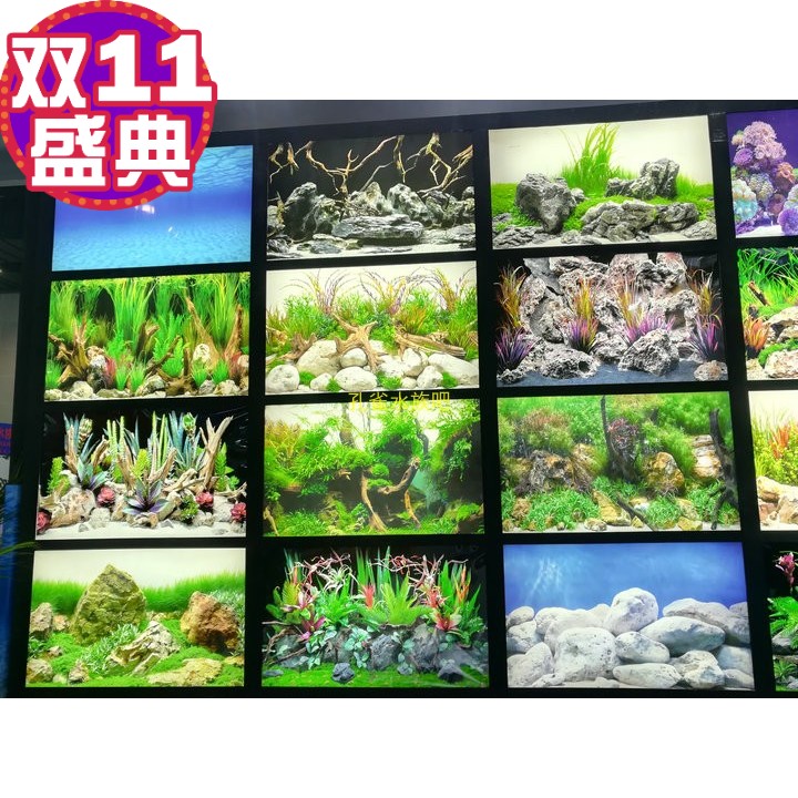 鱼缸水族箱龙背景纸纯黑
