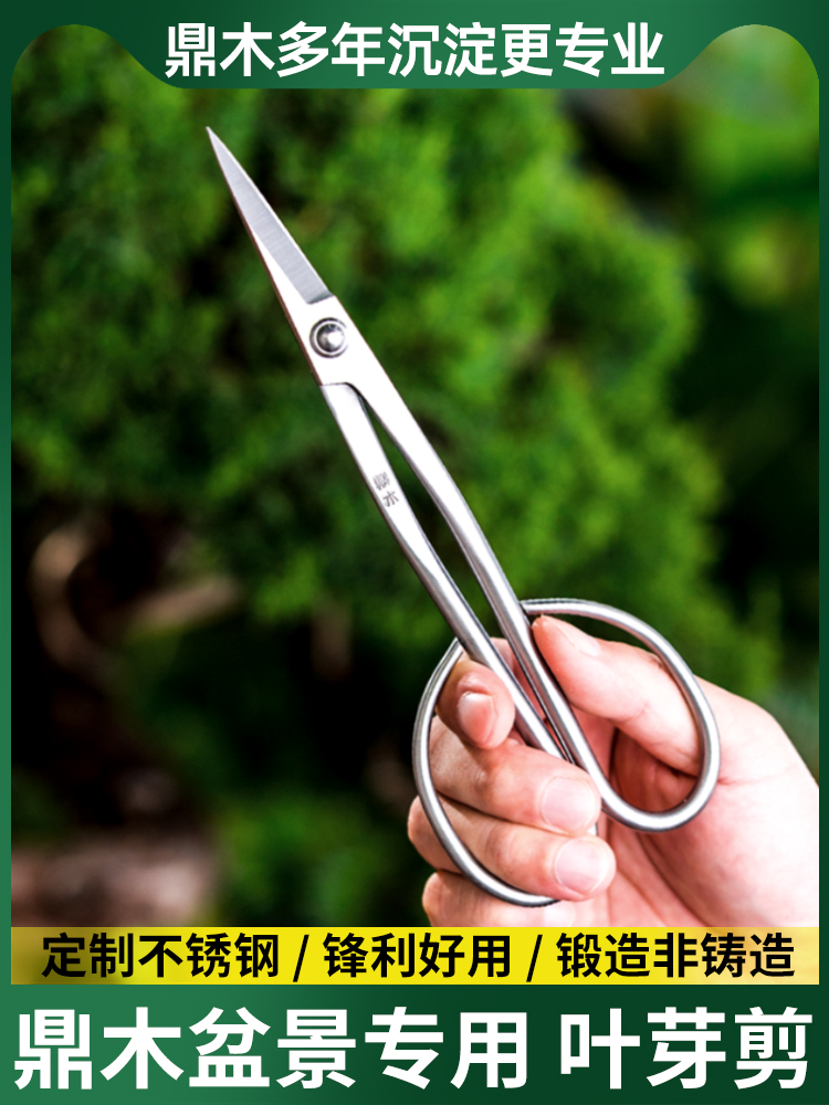 鼎木盆景叶芽剪不锈钢园