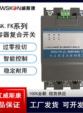 浙江威斯康 WSK-FK-Y-250V-45A-S电容器复合投切装置分补复合开关