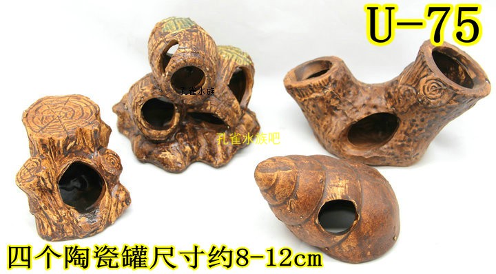 水晶虾窝躲避屋嬉戏繁殖