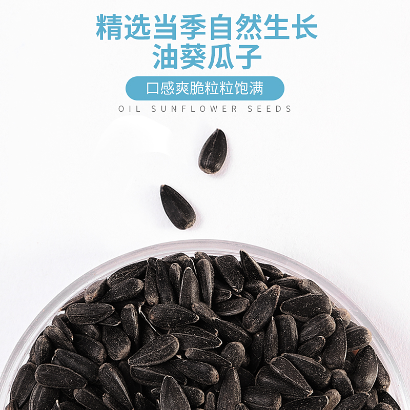 仓鼠花枝鼠磨牙零食小黑瓜子油葵金丝熊粮食用品营养主粮鹦鹉饲料