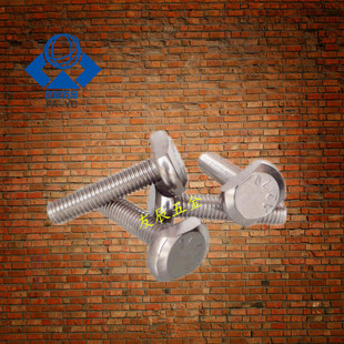 GB37 T型螺栓M6M8M10 304不锈钢槽用T型螺栓