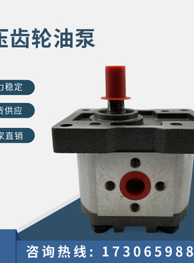 齿轮泵CBN/CBT-G304/G306/G310/G314/G316/G320/G325黑铁盖 25MPA