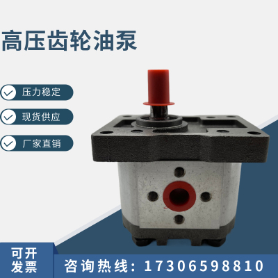 齿轮泵CBN/CBT-G304/G306/G310/G314/G316/G320/G325黑铁盖 25MPA