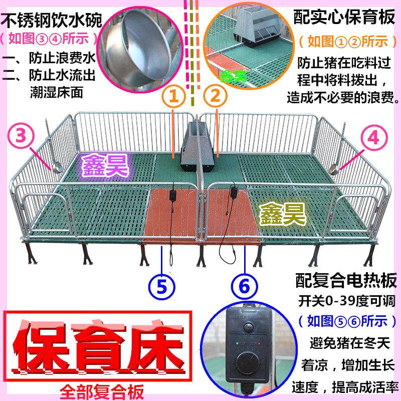 仔猪保育床 小猪用保育床 单双体全复合保育床 (母猪产床