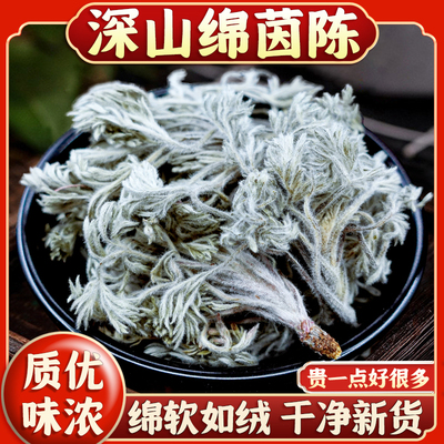 绵茵陈中药材新货锦因陈白蒿新鲜干货三月棉茵陈蒿草绒蒿泡水整棵