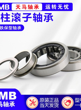天马轴承N NU NJ RN NUP NF2206 2207 2208 2209 EM C3 4