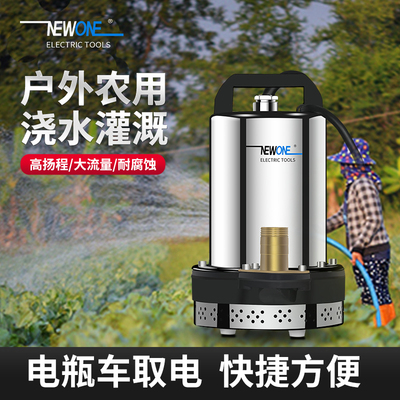 直流潜水泵小型抽水机电动车农田灌溉浇菜神器家用高扬程大流量