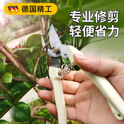 德国精工修枝剪果树刀园