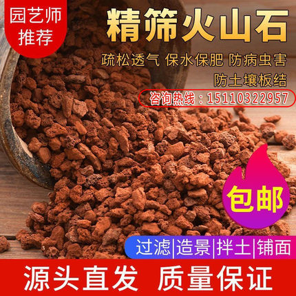 云南天然火山石颗粒红火山岩玄武岩多肉土铺面石水族滤材罗汉鱼缸