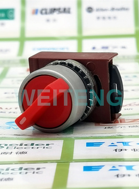 询价10年老店 美国GE通用 P9MSMD0R红色选择开关按钮头二档184111