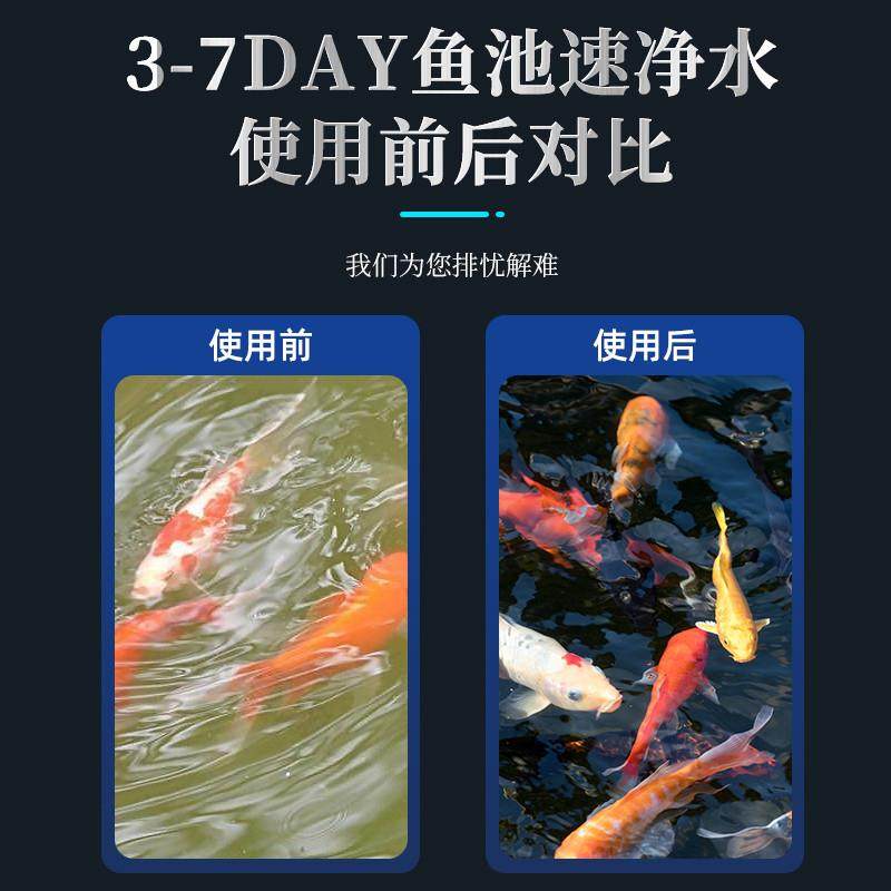 鱼池过滤器不锈钢循环过滤室外锦鲤鱼池水循环系统自动过滤外厂家,童装/婴儿装/亲子装,包包,淘宝优惠券,粉丝福利购,淘宝优惠卷