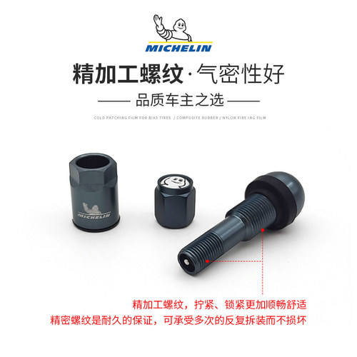米其林汽车轮胎气门嘴轮毂真空胎铝合金气门芯套装轮胎帽盖原厂