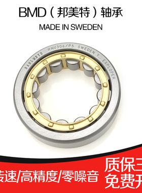 瑞典BMD圆柱滚子轴承RNU202 203 204 205 206 207 208 209 210 P5
