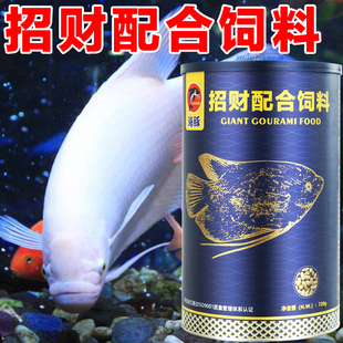 海豚招财鱼饲料地图鱼招财鱼专用鱼粮战船鱼观赏鱼饲料食肉鱼鱼粮