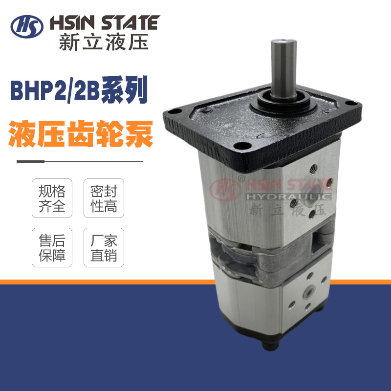 双联齿轮泵BHP2/2B1D6/D8/D10/D12/D14/16/18/D20/25/28C2E3/E3-E