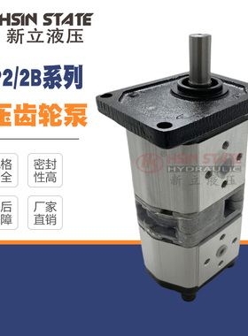 双联齿轮泵BHP2/2B1D6/D8/D10/D12/D14/16/18/D20/25/28C2E3/E3-E