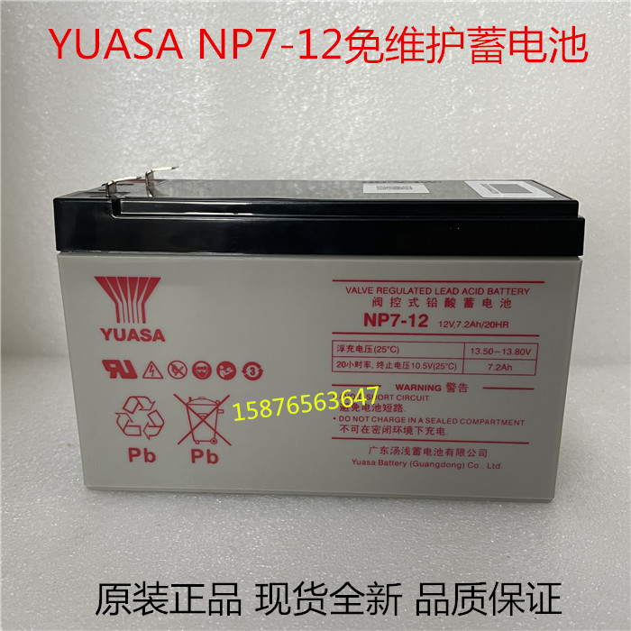 原装汤浅免维护蓄电池梯