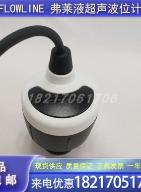 新款美国弗莱FLOWLINE超声波液位计DL10-00 01/DL14-00 01原现货