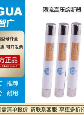 【出口现货】智广限流高压熔断器XRNP1-35(40.5)/10Kv12KV24KV0.5