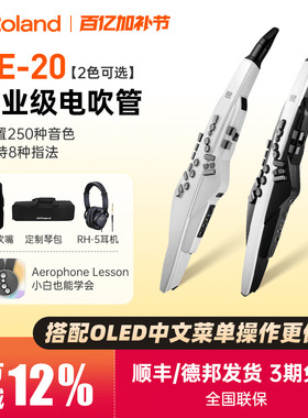 Roland罗兰电吹管AE20中老年人娱乐初学练习电子萨克斯葫芦丝AE30