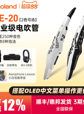 Roland罗兰电吹管AE20中老年人娱乐初学练习电子萨克斯葫芦丝AE30