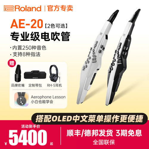 罗兰电吹管AE20/30中老年初学者