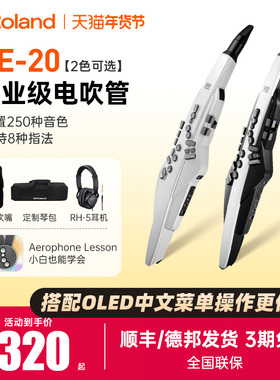 Roland罗兰电吹管AE20中老年人娱乐初学练习电子萨克斯葫芦丝AE30
