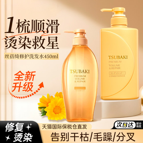 【官旗正品】堂丝蓓绮洗护套装