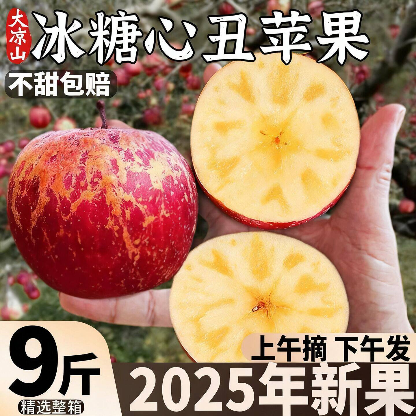 大凉山丑苹果冰糖心水果新鲜当季整箱10斤包邮盐源四川红富士平果,水产肉类/新鲜蔬果/熟食,苹果,淘宝优惠券,粉丝福利购,淘宝优惠卷
