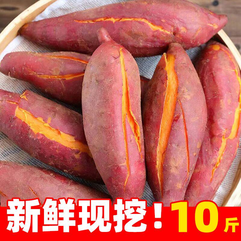 红薯正宗西瓜红蜜薯糖心新鲜番薯板栗六鳌沙地地瓜山芋农家自种10