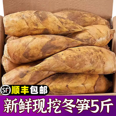 正宗建瓯冬笋5斤当季农家新鲜现挖雷竹笋毛笋黄泥笋天目整箱包邮3