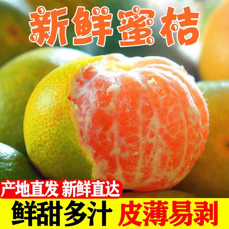 2026新鲜现摘云南青绿皮薄皮蜜橘子蜜桔子应季孕妇大水果包邮整箱