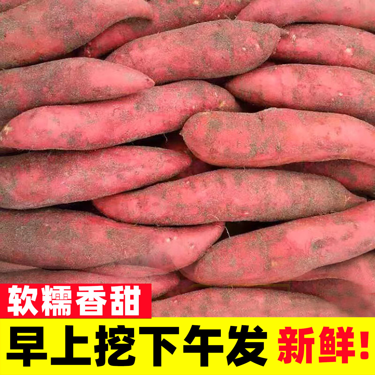 正宗西瓜红蜜薯新鲜糖心板栗番薯六鳌沙地红薯地瓜蔬菜农家自种10