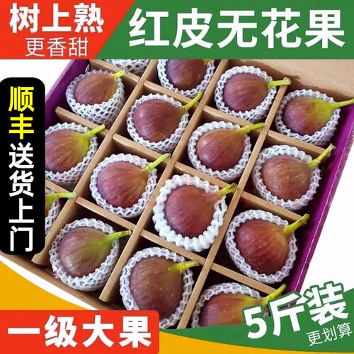 【顺丰送货上门】红皮无花果5斤